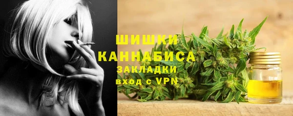 амф Гусиноозёрск