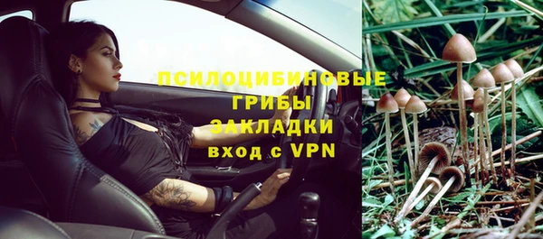 мдма Гусев