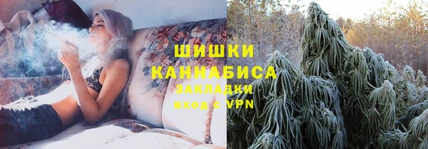 PSILOCYBIN Дмитриев