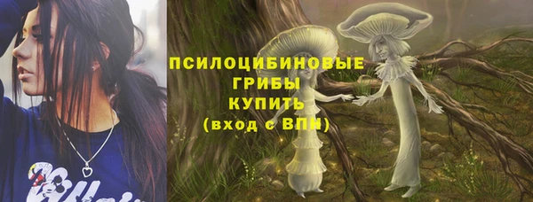 мдма Гусев