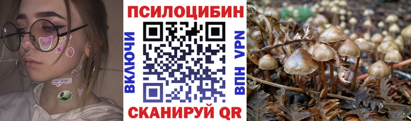 Псилоцибиновые грибы GOLDEN TEACHER  Купить  Уяр 
